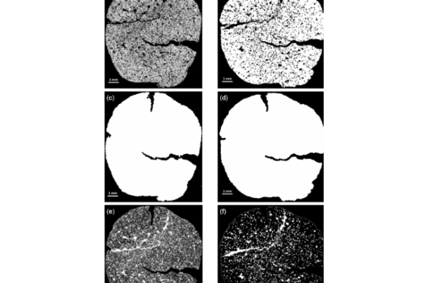 Porosity Characterization of Iron Ore Pellets by X-Ray Microtomography